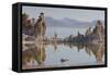 Tuff, Mono Lake, California, Usa-Rainer Mirau-Framed Stretched Canvas