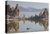 Tuff, Mono Lake, California, Usa-Rainer Mirau-Stretched Canvas