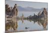 Tuff, Mono Lake, California, Usa-Rainer Mirau-Mounted Photographic Print