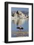 Tuff, Mono Lake, California, Usa-Rainer Mirau-Framed Photographic Print