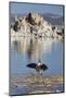 Tuff, Mono Lake, California, Usa-Rainer Mirau-Mounted Photographic Print