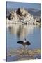 Tuff, Mono Lake, California, Usa-Rainer Mirau-Stretched Canvas