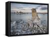 Tuff, Mono Lake, California, Usa-Rainer Mirau-Framed Stretched Canvas