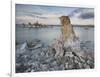 Tuff, Mono Lake, California, Usa-Rainer Mirau-Framed Photographic Print