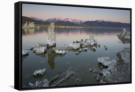 Tuff, Mono Lake, Sierra Nevada, California, Usa-Rainer Mirau-Framed Stretched Canvas