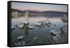 Tuff, Mono Lake, Sierra Nevada, California, Usa-Rainer Mirau-Framed Stretched Canvas