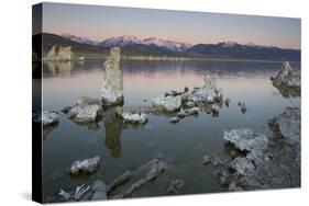 Tuff, Mono Lake, Sierra Nevada, California, Usa-Rainer Mirau-Stretched Canvas