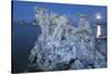 Tuff, Moon, Mono Lake, California, Usa-Rainer Mirau-Stretched Canvas