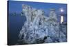 Tuff, Moon, Mono Lake, California, Usa-Rainer Mirau-Stretched Canvas