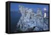 Tuff, Moon, Mono Lake, California, Usa-Rainer Mirau-Framed Stretched Canvas