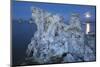 Tuff, Moon, Mono Lake, California, Usa-Rainer Mirau-Mounted Photographic Print