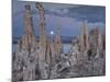 Tuff, Moon, Mono Lake, California, Usa-Rainer Mirau-Mounted Photographic Print