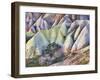 Tuff Stone Erosion in the Rose Valley Close Gšreme, Cappadocia, Anatolia, Turkey-Rainer Mirau-Framed Photographic Print