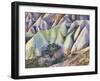 Tuff Stone Erosion in the Rose Valley Close Gšreme, Cappadocia, Anatolia, Turkey-Rainer Mirau-Framed Photographic Print