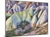 Tuff Stone Erosion in the Rose Valley Close Gšreme, Cappadocia, Anatolia, Turkey-Rainer Mirau-Mounted Photographic Print