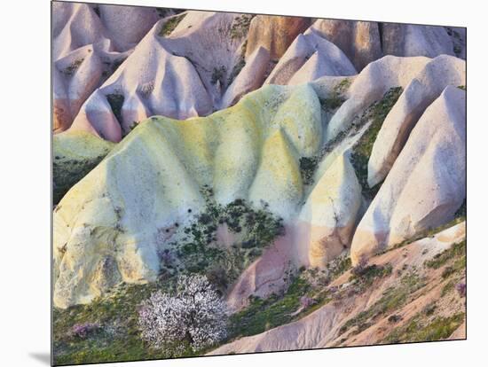 Tuff Stone Erosion in the Rose Valley Close Gšreme, Cappadocia, Anatolia, Turkey-Rainer Mirau-Mounted Photographic Print