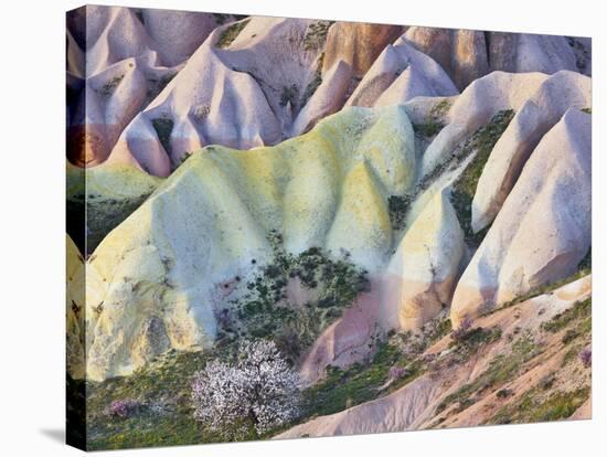 Tuff Stone Erosion in the Rose Valley Close Gšreme, Cappadocia, Anatolia, Turkey-Rainer Mirau-Stretched Canvas