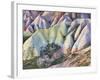 Tuff Stone Erosion in the Rose Valley Close Gšreme, Cappadocia, Anatolia, Turkey-Rainer Mirau-Framed Photographic Print