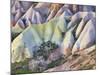 Tuff Stone Erosion in the Rose Valley Close Gšreme, Cappadocia, Anatolia, Turkey-Rainer Mirau-Mounted Photographic Print