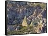 Tuff Stone Erosion in the Rose Valley Close Gšreme, Cappadocia, Anatolia, Turkey-Rainer Mirau-Framed Stretched Canvas