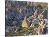 Tuff Stone Erosion in the Rose Valley Close Gšreme, Cappadocia, Anatolia, Turkey-Rainer Mirau-Stretched Canvas