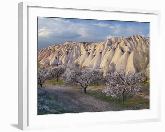 Tuff Stone Erosion Near Uchisar, Blossoming Trees, Cappadocia, Anatolia, Turkey-Rainer Mirau-Framed Photographic Print