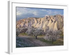 Tuff Stone Erosion Near Uchisar, Blossoming Trees, Cappadocia, Anatolia, Turkey-Rainer Mirau-Framed Photographic Print