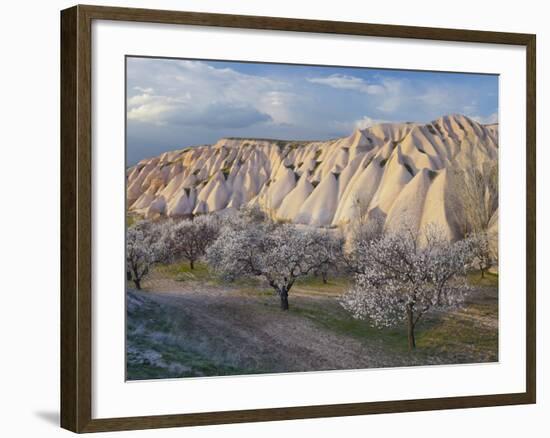 Tuff Stone Erosion Near Uchisar, Blossoming Trees, Cappadocia, Anatolia, Turkey-Rainer Mirau-Framed Photographic Print