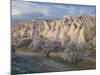Tuff Stone Erosion Near Uchisar, Blossoming Trees, Cappadocia, Anatolia, Turkey-Rainer Mirau-Mounted Photographic Print