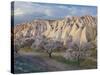Tuff Stone Erosion Near Uchisar, Blossoming Trees, Cappadocia, Anatolia, Turkey-Rainer Mirau-Stretched Canvas