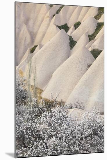 Tuff Stone Erosion with Uchisar, Blossoming Trees, Cappadocia, Anatolia, Turkey-Rainer Mirau-Mounted Photographic Print