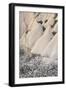 Tuff Stone Erosion with Uchisar, Blossoming Trees, Cappadocia, Anatolia, Turkey-Rainer Mirau-Framed Photographic Print