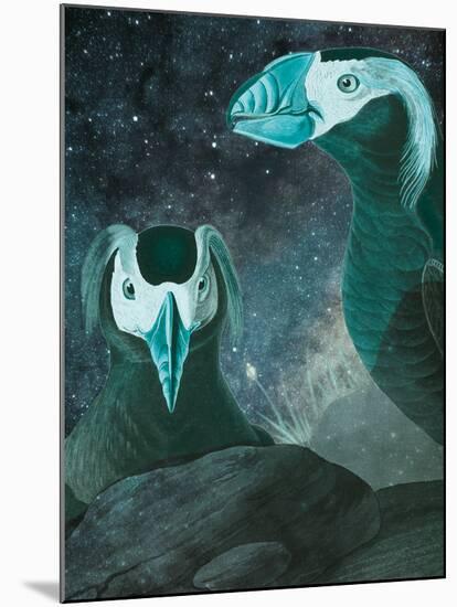 Tufted Auk - Space-Eccentric Accents-Mounted Giclee Print
