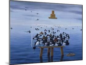 Tufted Ducks-Harro Maass-Mounted Giclee Print