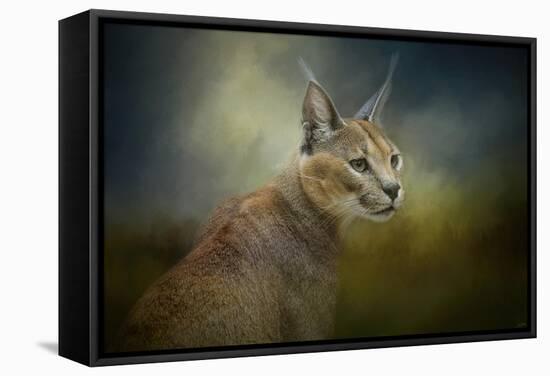 Tufted Ears-Jai Johnson-Framed Stretched Canvas