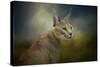 Tufted Ears-Jai Johnson-Stretched Canvas