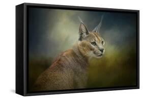 Tufted Ears-Jai Johnson-Framed Stretched Canvas