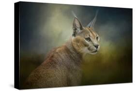 Tufted Ears-Jai Johnson-Stretched Canvas