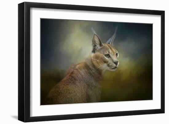 Tufted Ears-Jai Johnson-Framed Premium Giclee Print