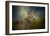 Tufted Ears-Jai Johnson-Framed Giclee Print