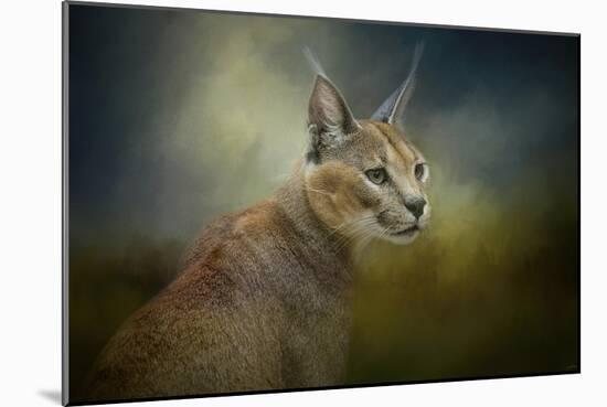 Tufted Ears-Jai Johnson-Mounted Giclee Print