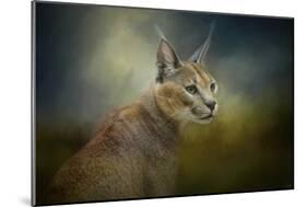 Tufted Ears-Jai Johnson-Mounted Giclee Print