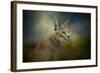 Tufted Ears-Jai Johnson-Framed Giclee Print