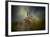 Tufted Ears-Jai Johnson-Framed Giclee Print