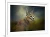 Tufted Ears-Jai Johnson-Framed Giclee Print