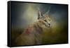 Tufted Ears-Jai Johnson-Framed Stretched Canvas