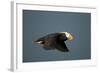 Tufted Puffin, Katmai National Park, Alaska-Paul Souders-Framed Photographic Print