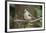 Tufted Titmouse-Gary Carter-Framed Premium Photographic Print