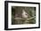 Tufted Titmouse-Gary Carter-Framed Photographic Print