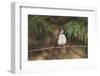 Tufted Titmouse-Gary Carter-Framed Photographic Print